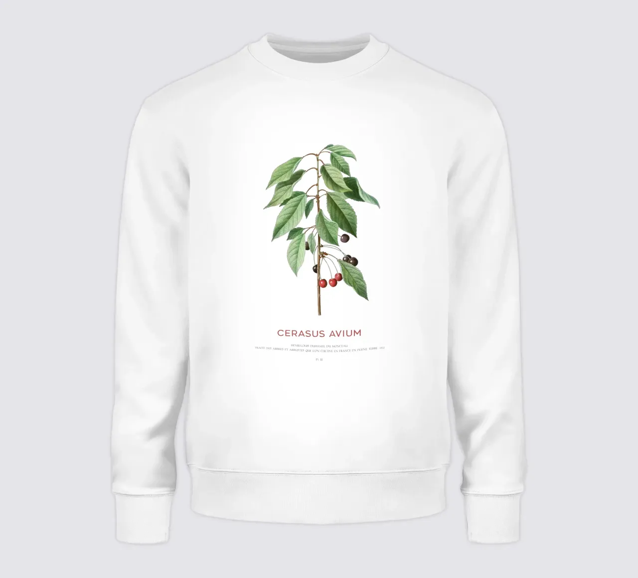 Wildkirsche oder Cerasus Avium Sweatshirt von Vintagrafica
