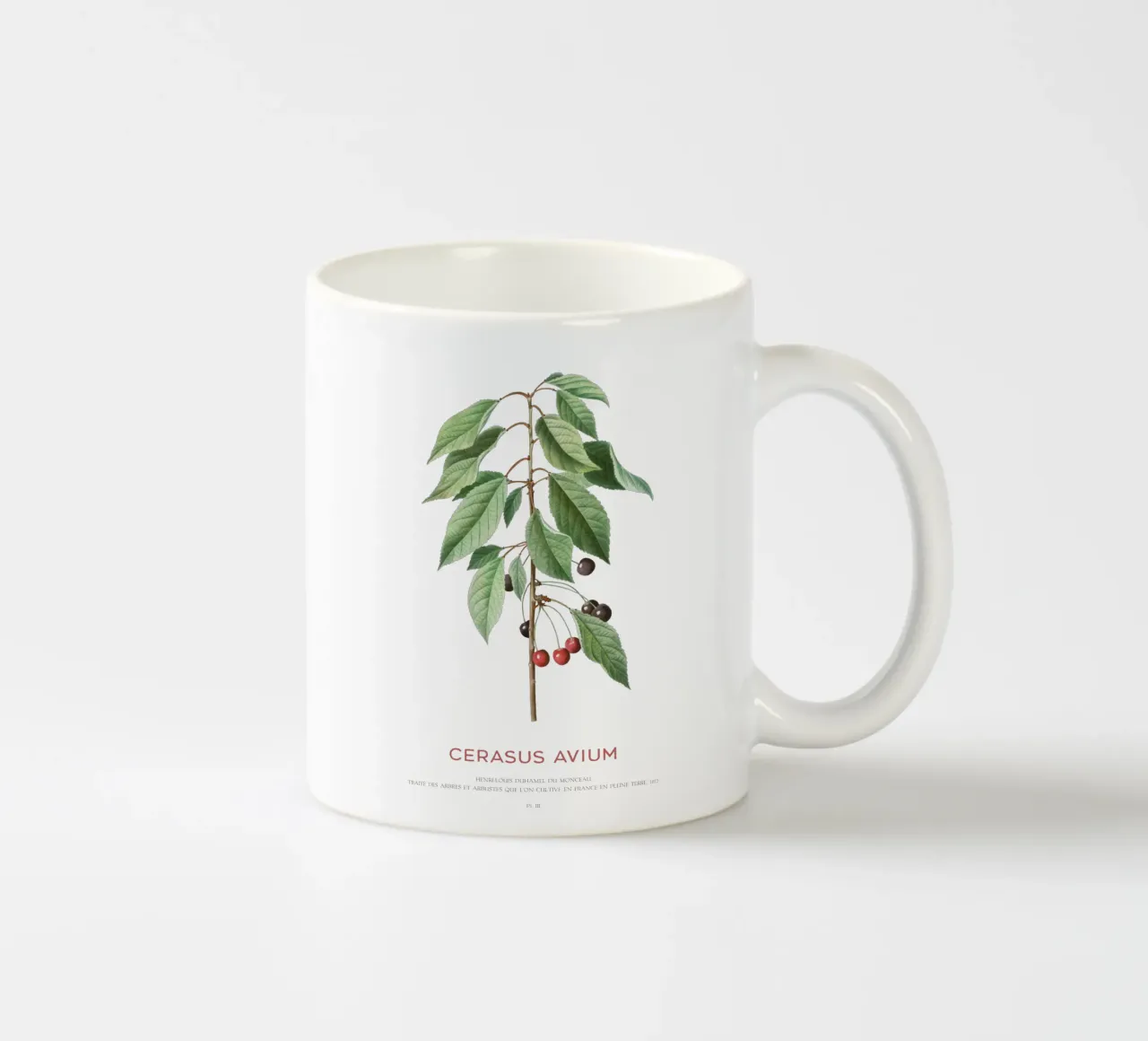 Ciliegio selvatico o Cerasus Avium tazza in ceramica da Vintagrafica