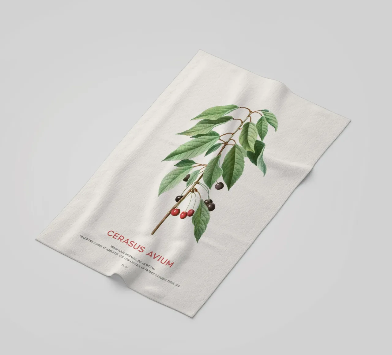 Wild cherry or Cerasus Avium beach towel by Vintagrafica