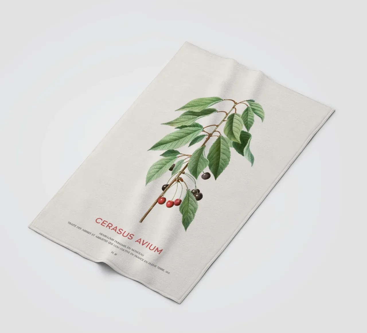 Wildkirsche oder Cerasus Avium Fleecedecke von Vintagrafica