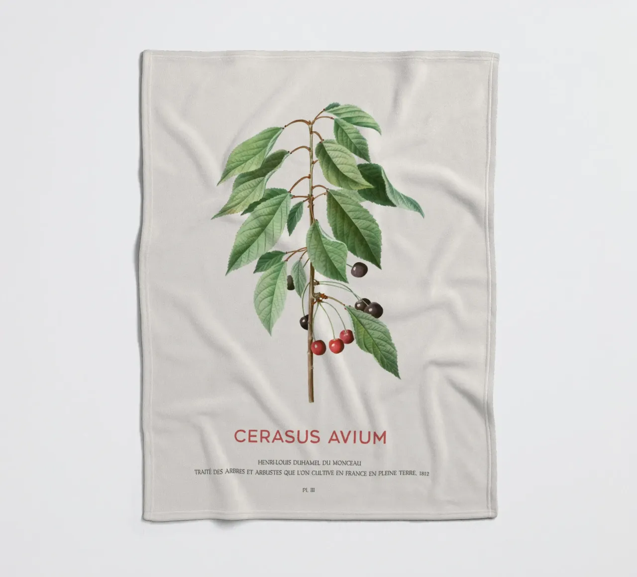 Wildkirsche oder Cerasus Avium Fleecedecke von Vintagrafica
