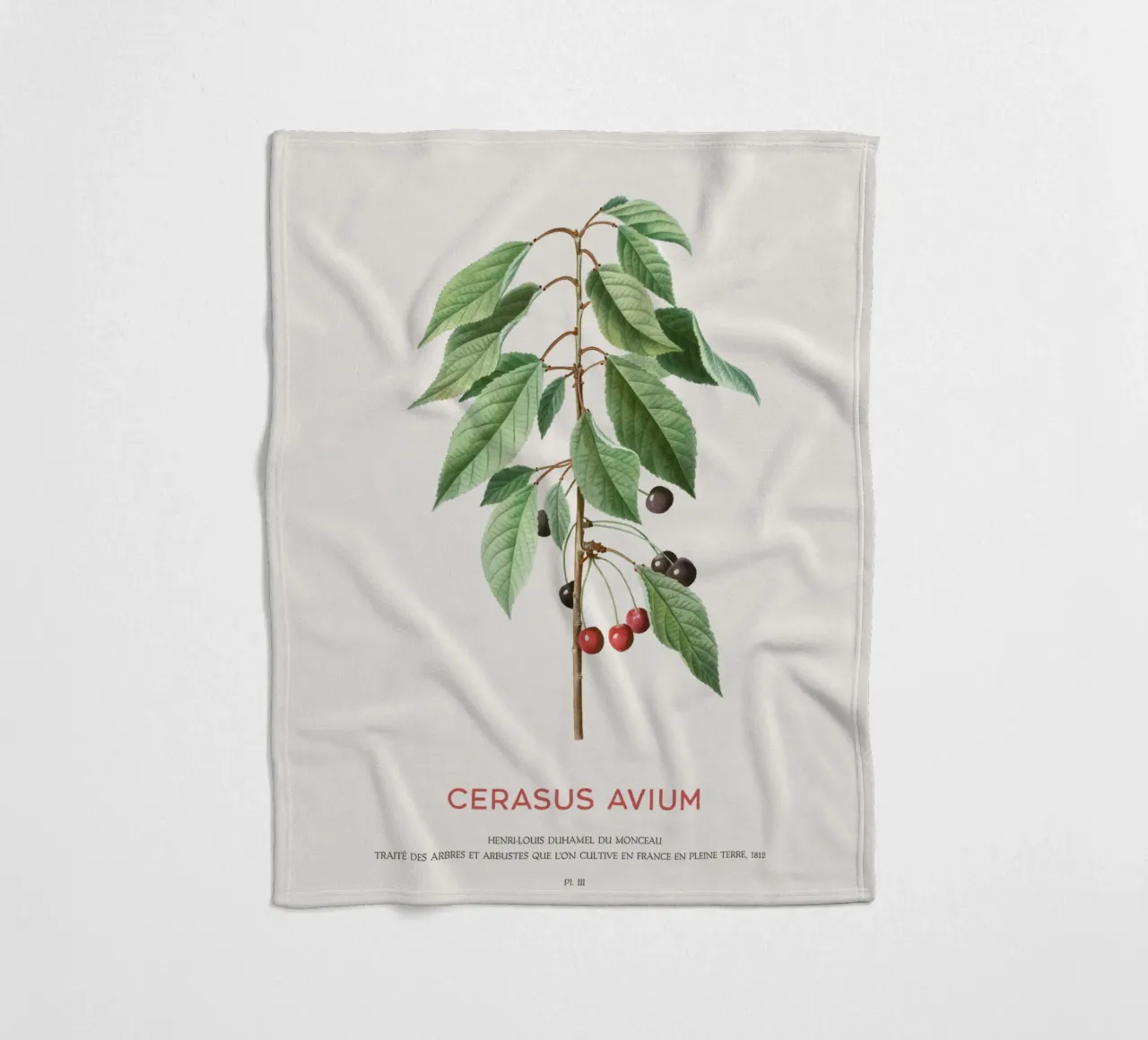 Wildkirsche oder Cerasus Avium Fleecedecke von Vintagrafica