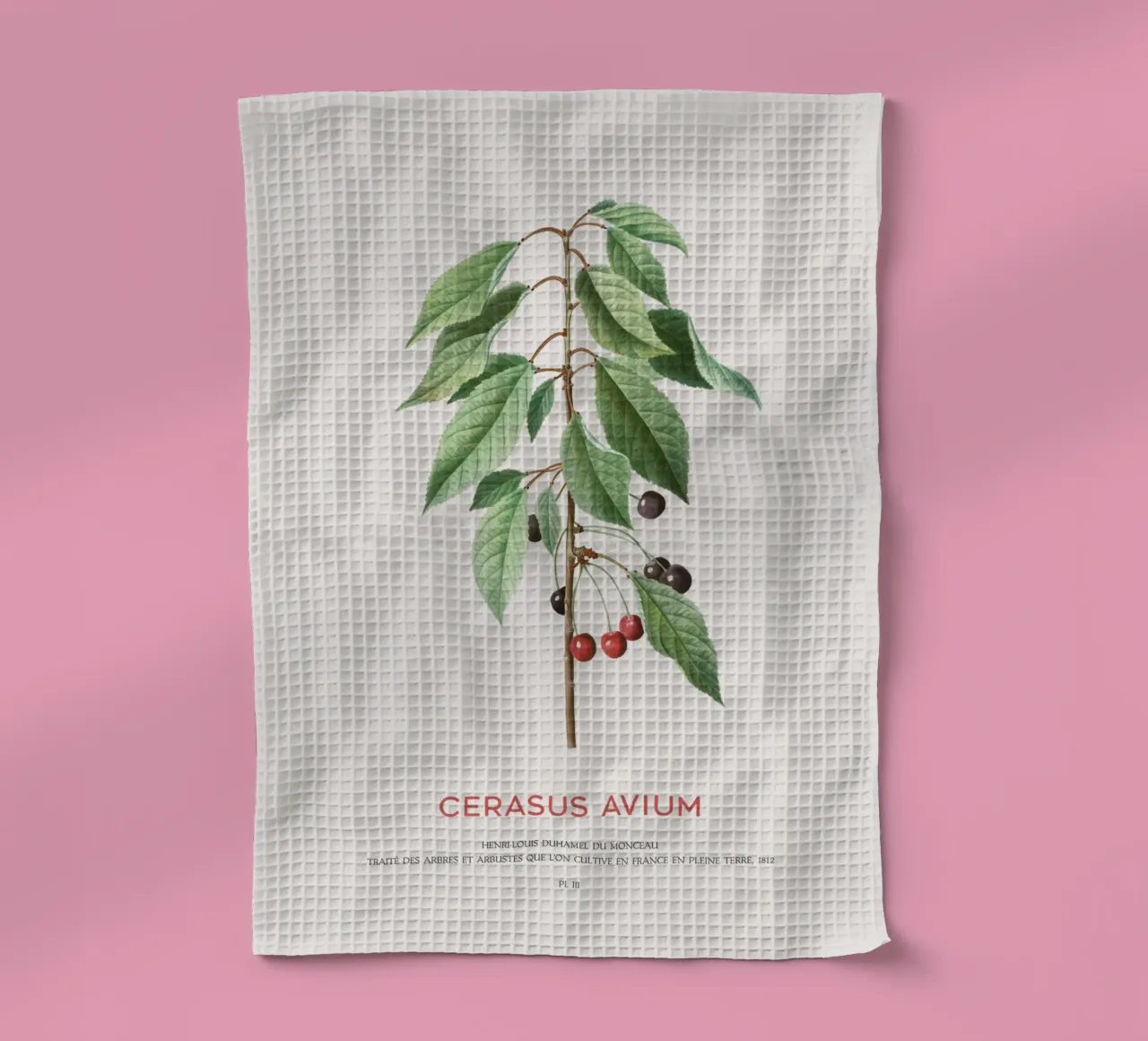 Wildkirsche oder Cerasus Avium Geschirrtuch von Vintagrafica