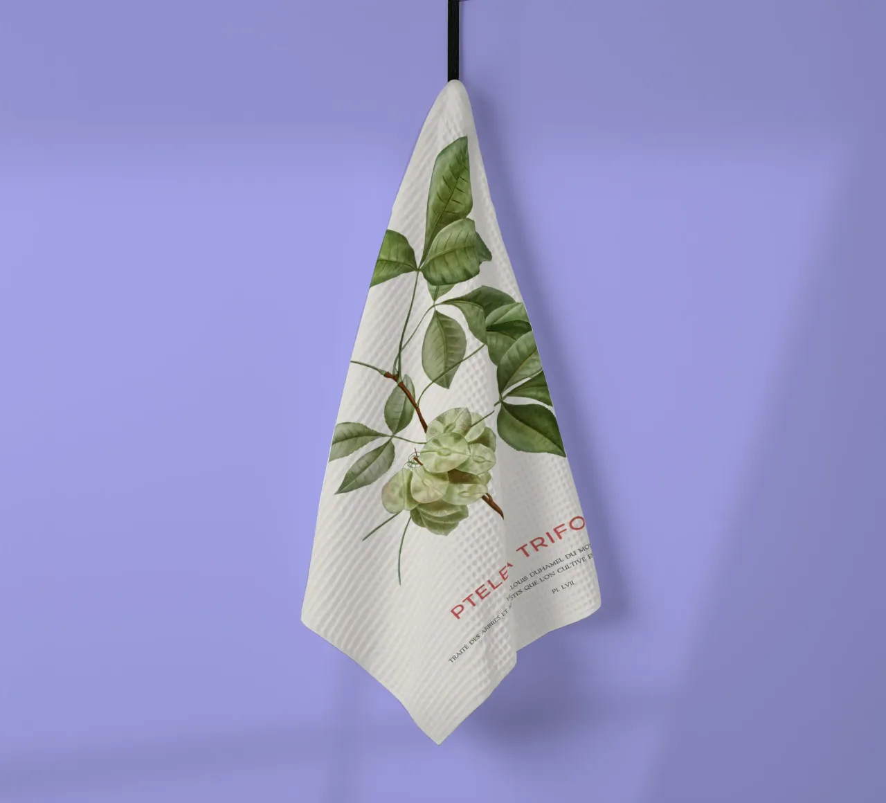 Luppolo comune o Ptelea Trifoliata canovaccio da cucina da Vintagrafica