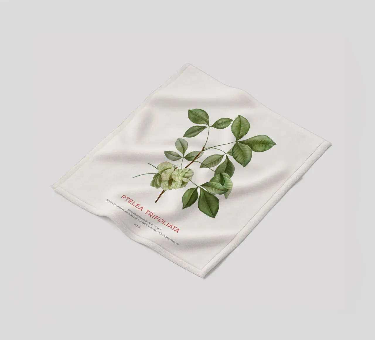 Luppolo comune o Ptelea Trifoliata coperta in pile da Vintagrafica