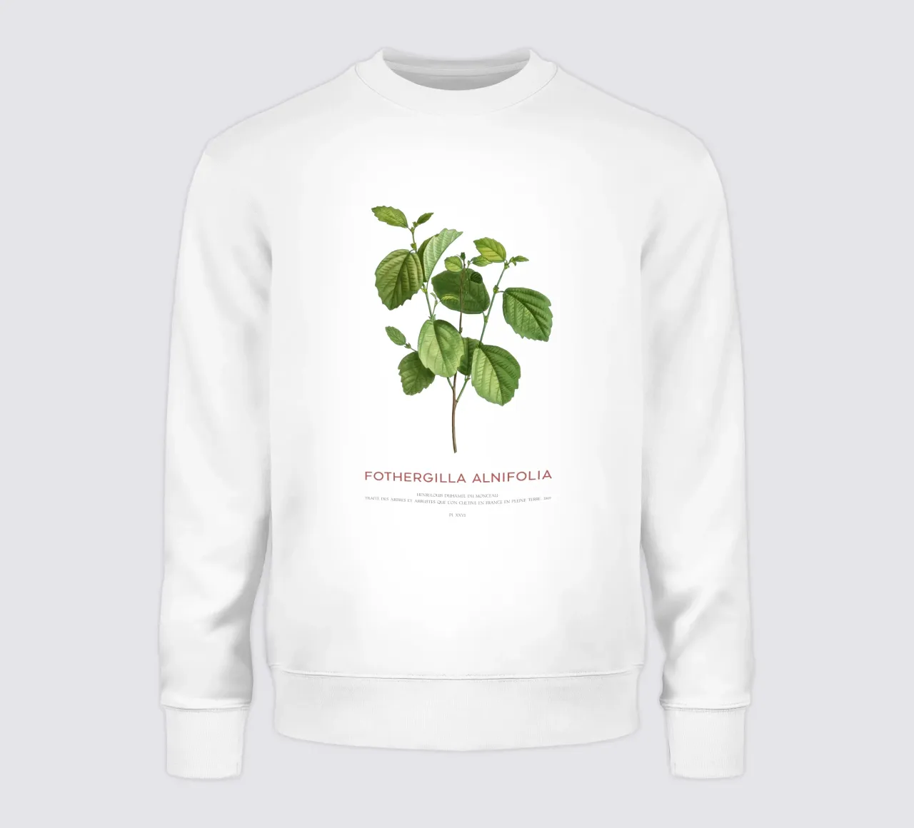 Ontano stregato o Fothergilla Alnifolia felpa da Vintagrafica