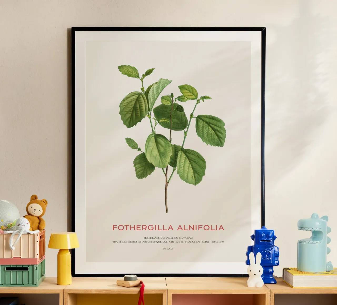 Ontano stregato o Fothergilla Alnifolia poster da Vintagrafica