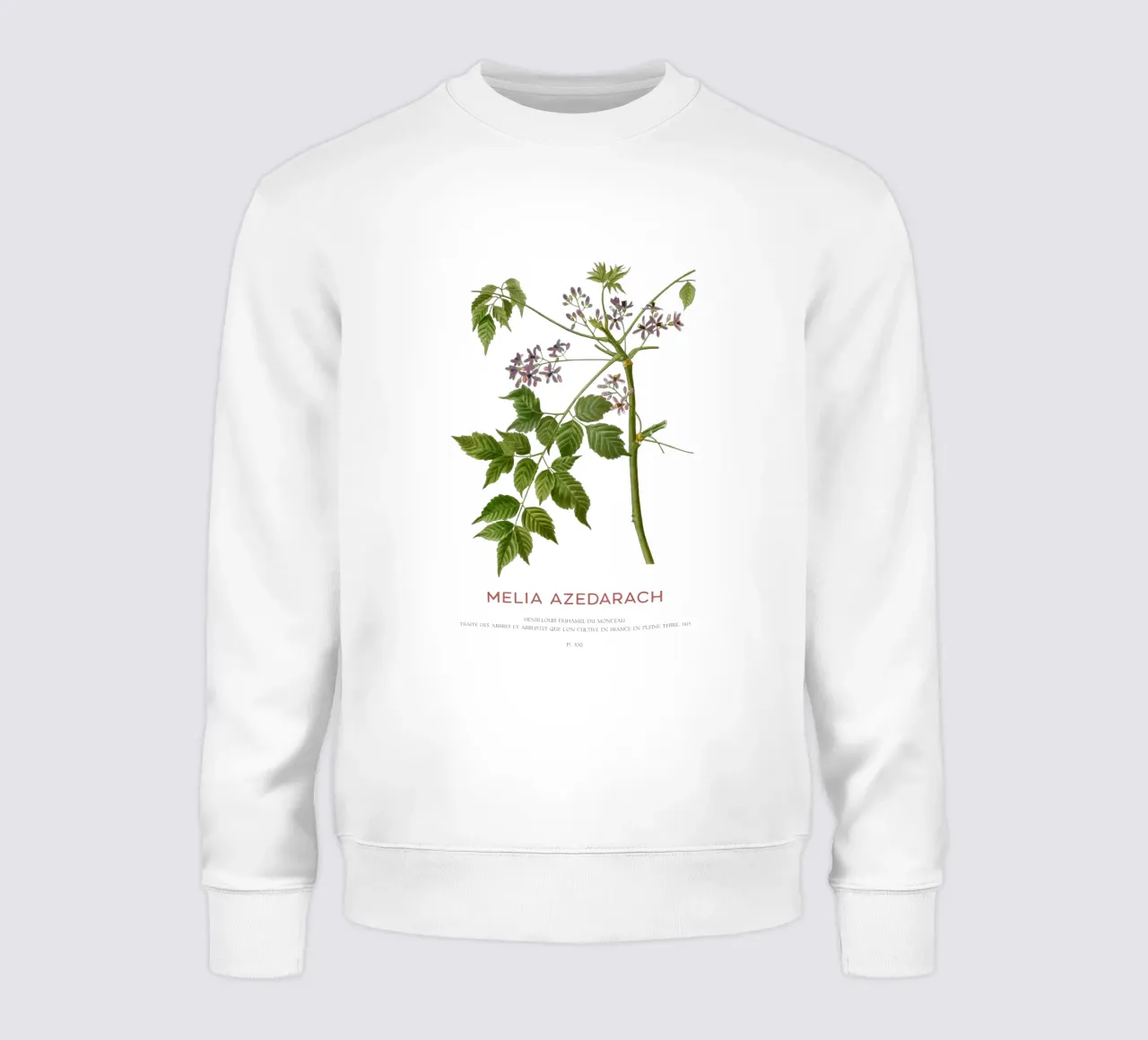Persischer Flieder oder Melia Azedarach Sweatshirt von Vintagrafica