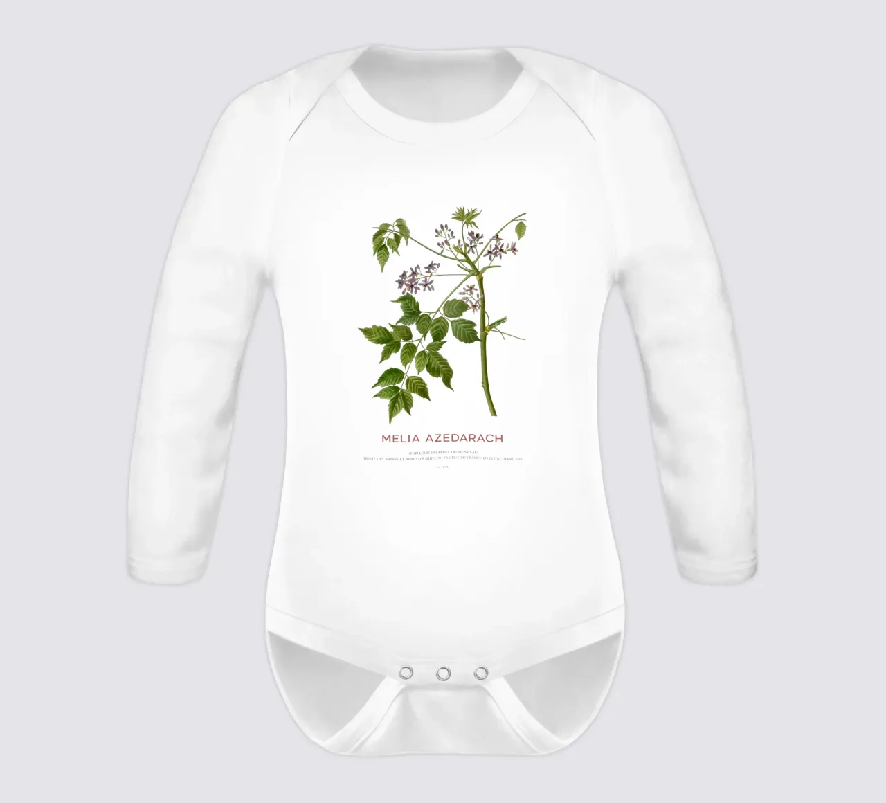 Lillà persiano o Melia Azedarach body neonato maniche lunghe da Vintagrafica