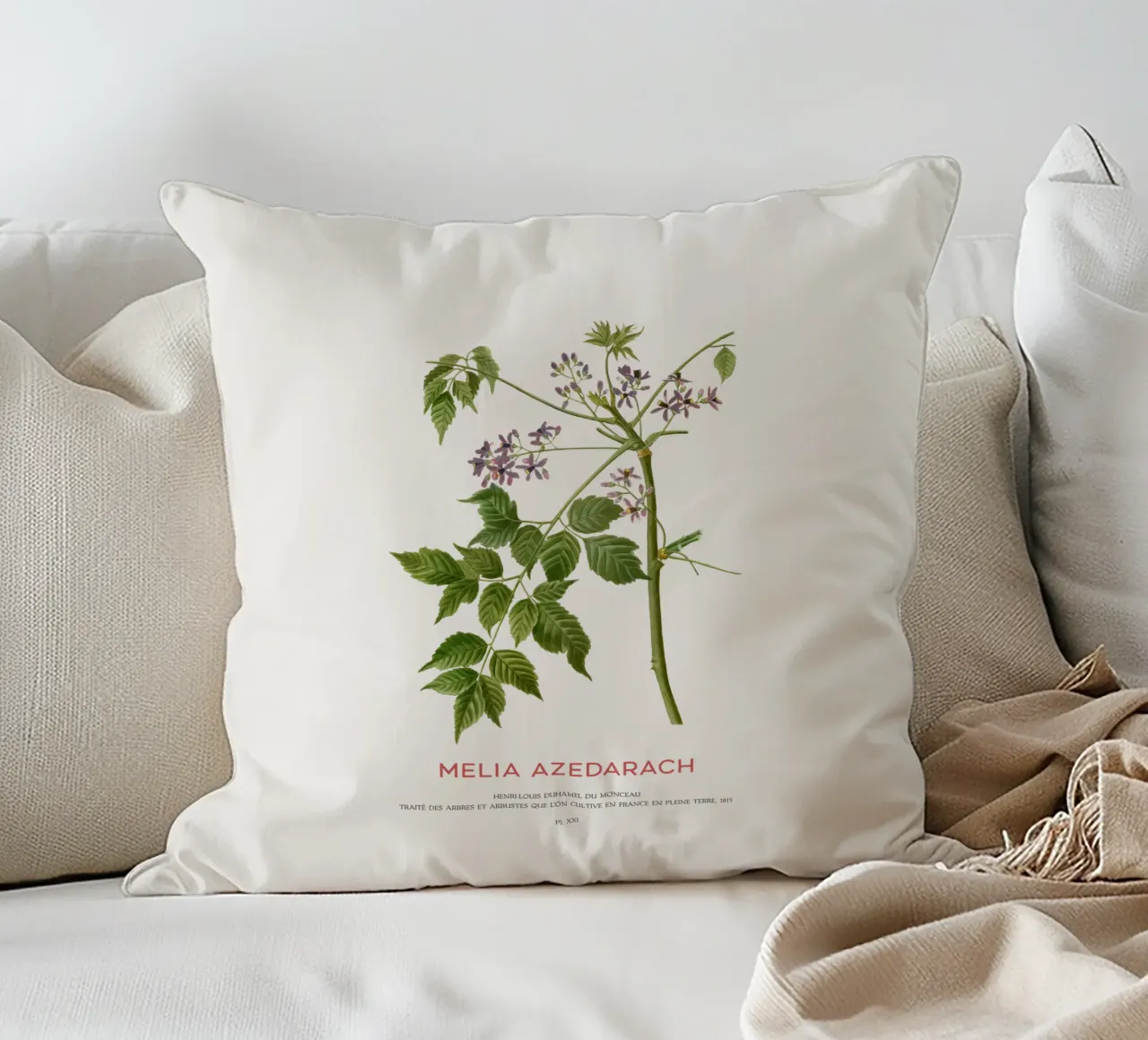Lillà persiano o Melia Azedarach cuscino da Vintagrafica