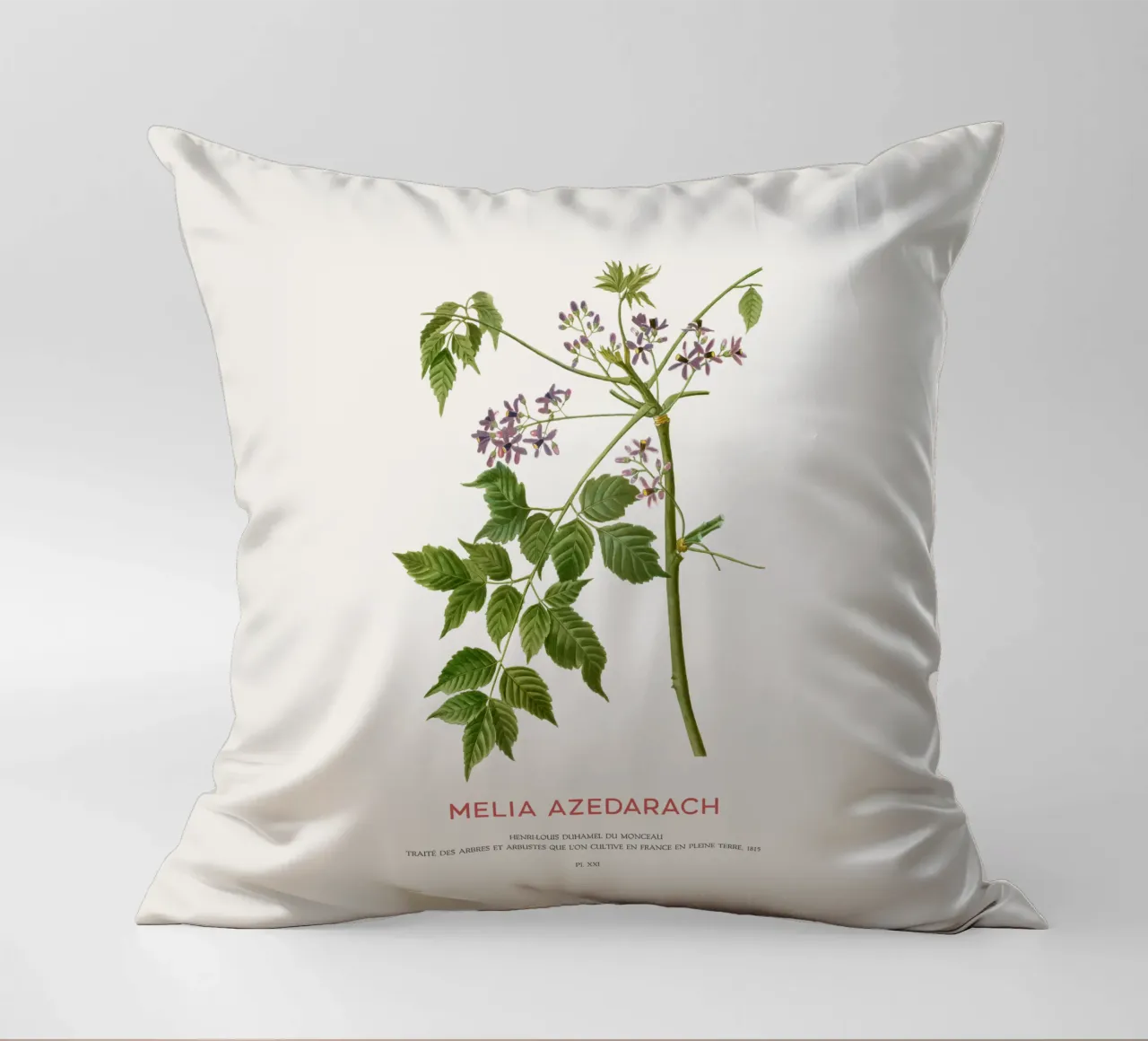 Lillà persiano o Melia Azedarach cuscino da Vintagrafica