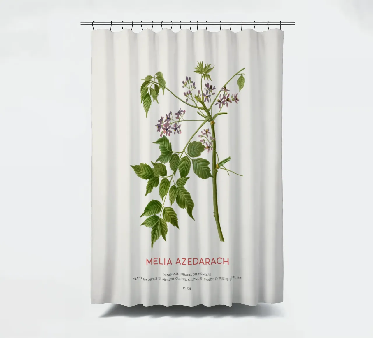 Persischer Flieder oder Melia Azedarach Duschvorhang von Vintagrafica