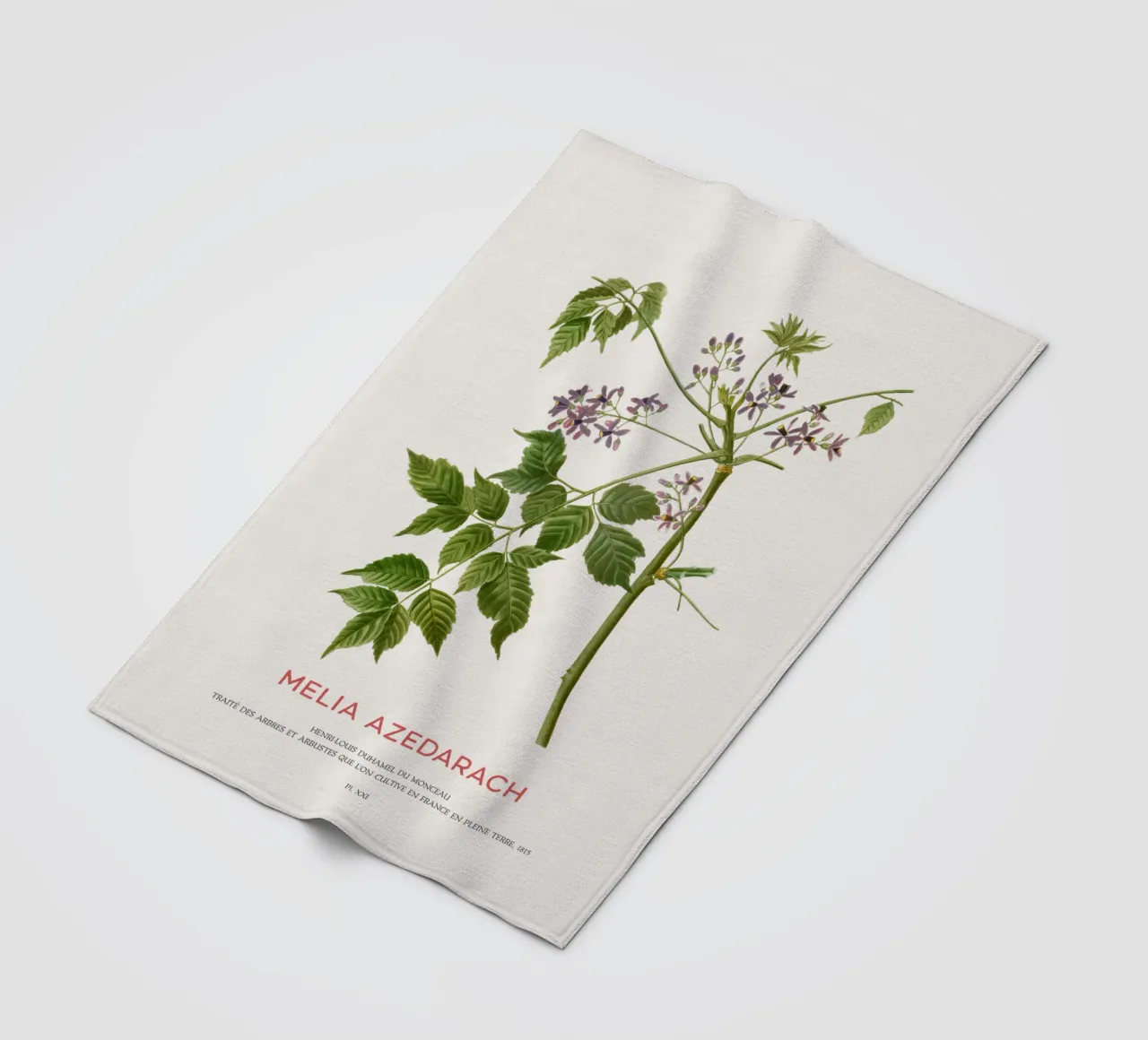 Persischer Flieder oder Melia Azedarach Fleecedecke von Vintagrafica