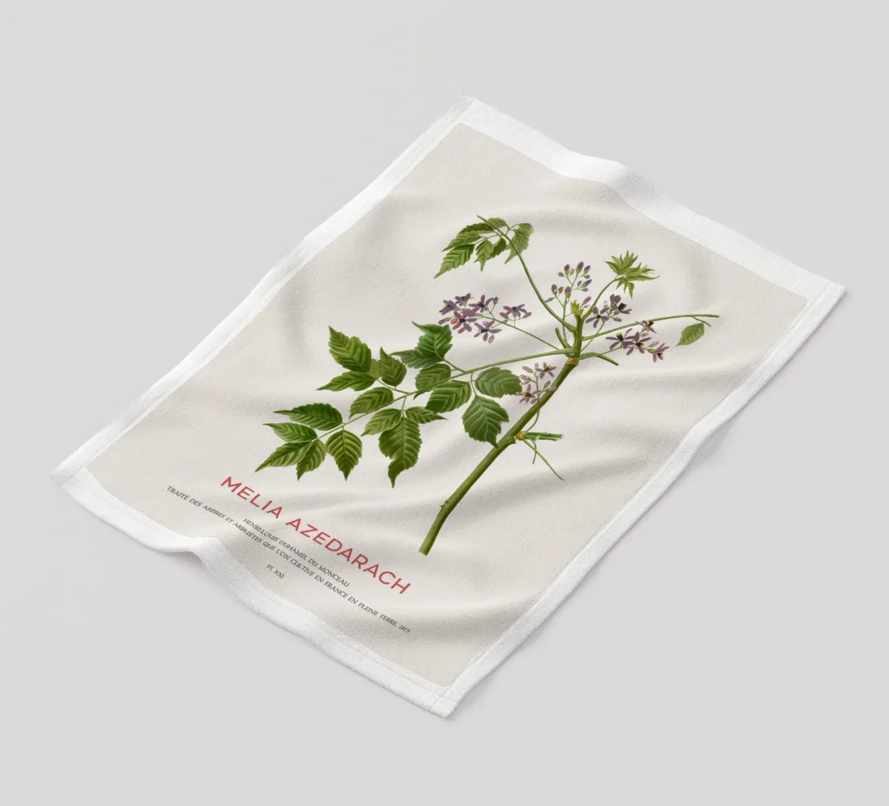 Persischer Flieder oder Melia Azedarach Fleecedecke von Vintagrafica