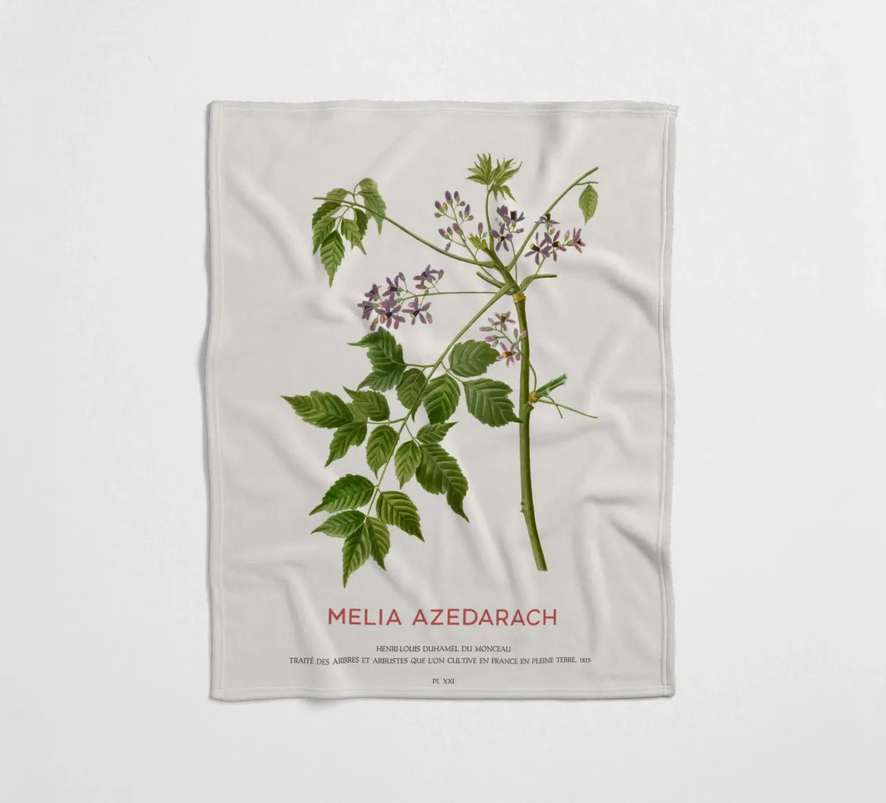Persischer Flieder oder Melia Azedarach Fleecedecke von Vintagrafica