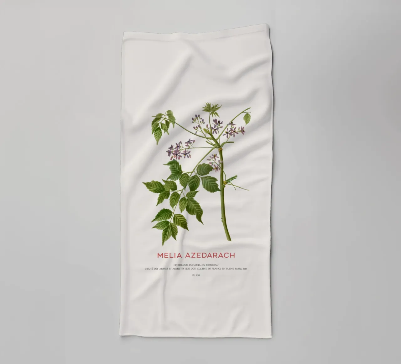 Persischer Flieder oder Melia Azedarach Handtuch von Vintagrafica