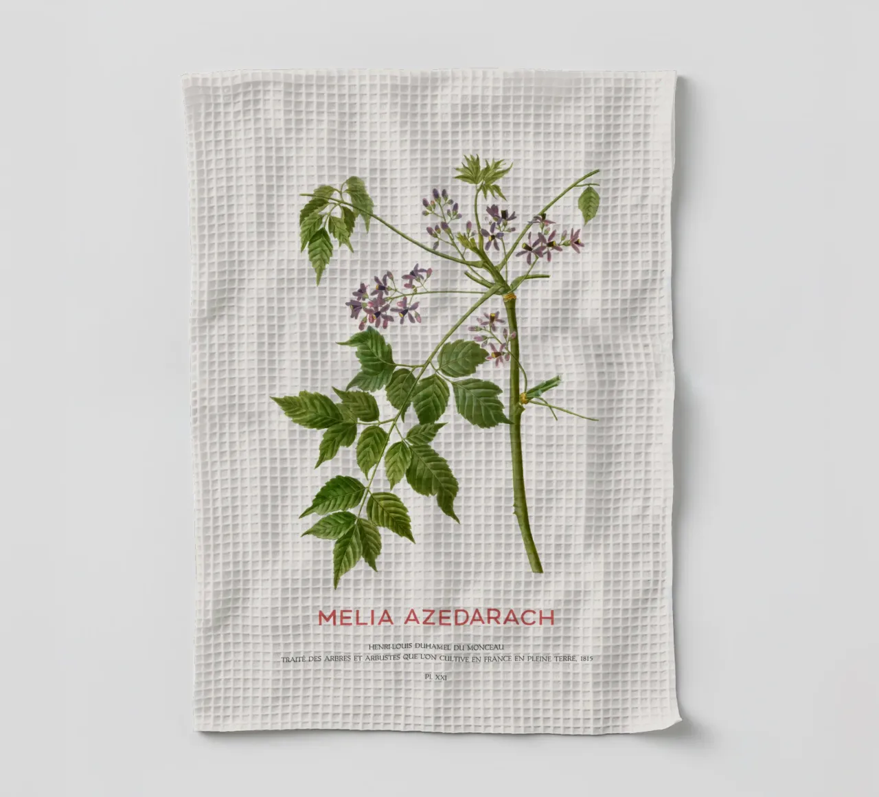 Persischer Flieder oder Melia Azedarach Geschirrtuch von Vintagrafica