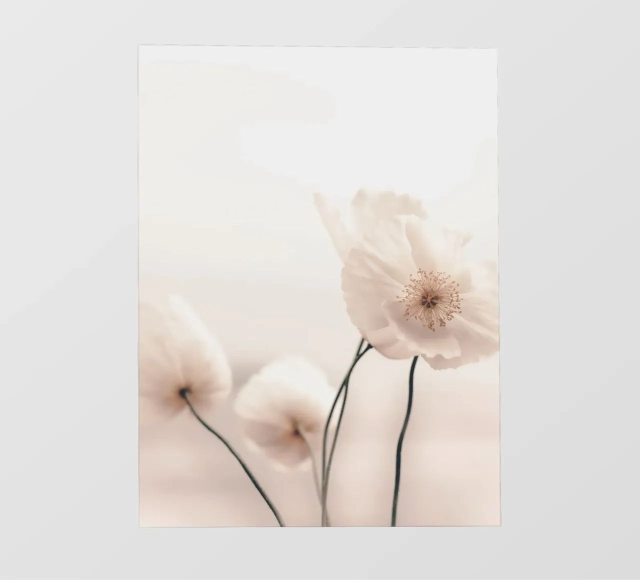 Fiori delicati - Design floreale minimalista pellicola backlit da Whole©