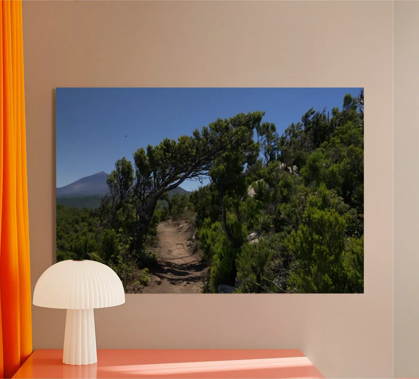 Der Teide am Horizont – Weg durch den Kanarischen Wald Acryl-Glas von DR-Moments Welt