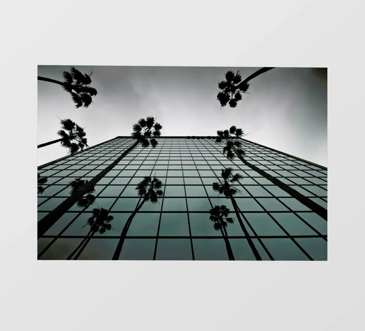 Reflections pellicola backlit da Marc Gruninger