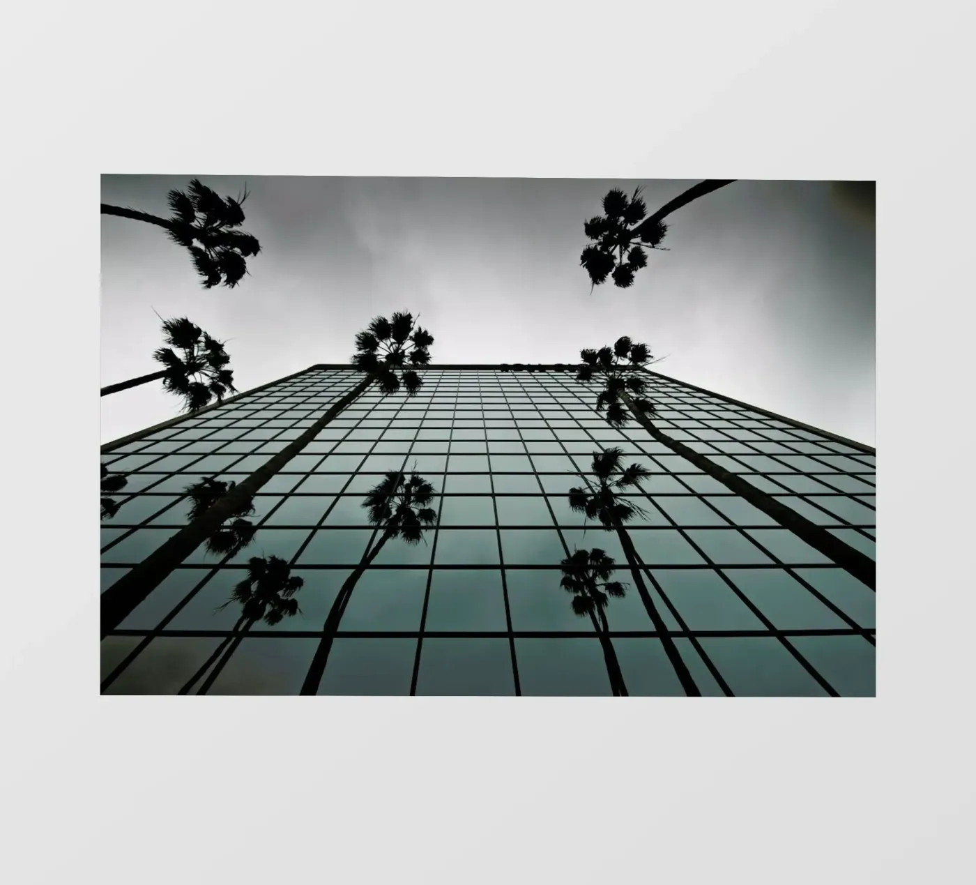 Reflections telo in pvc da Marc Gruninger