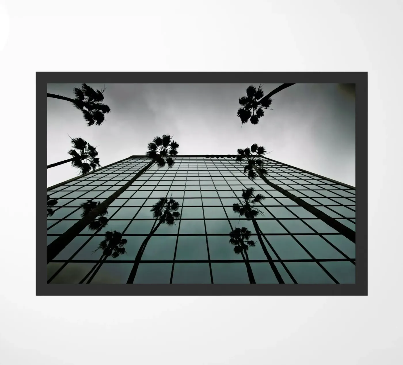 Reflections zerbino da Marc Gruninger