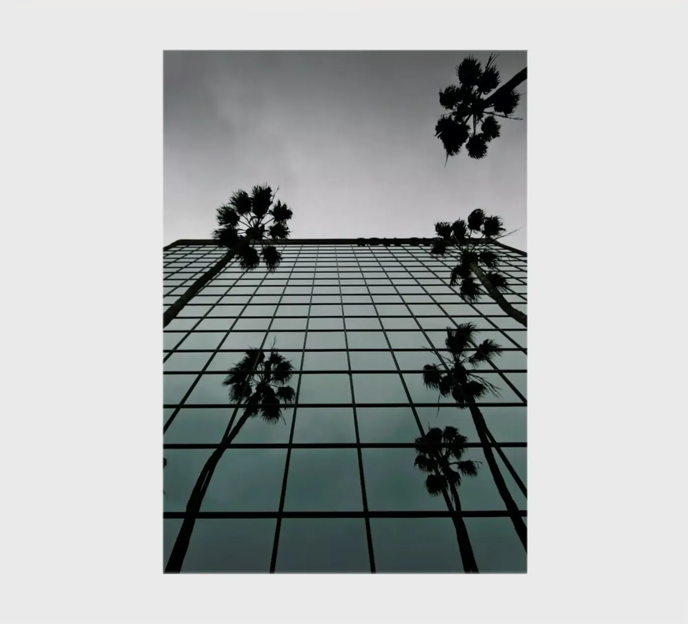 Reflections carnet de Marc Gruninger