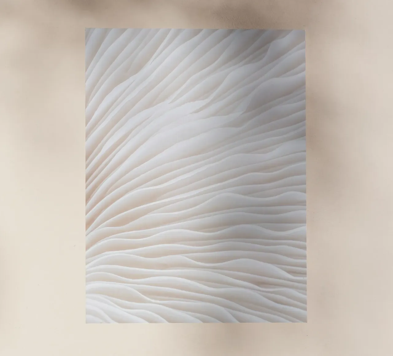 Gentle waves - Abstract texture design backlit film by Whole©