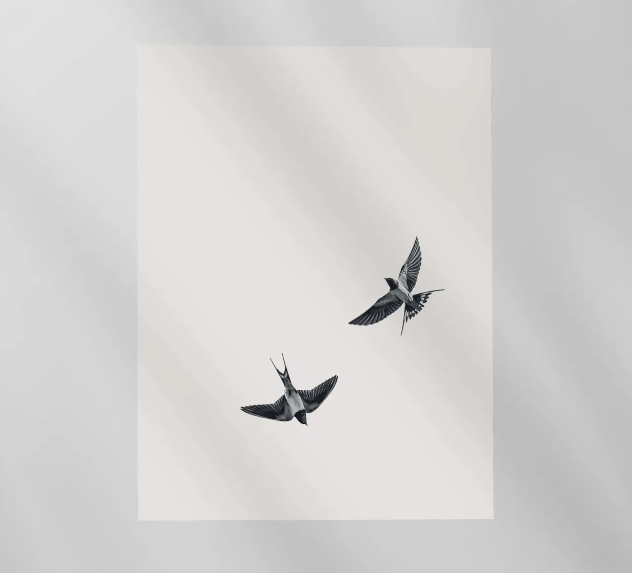 Twee zwaluwen - Minimalistisch natuurlijk ontwerp backlit folie van Whole©