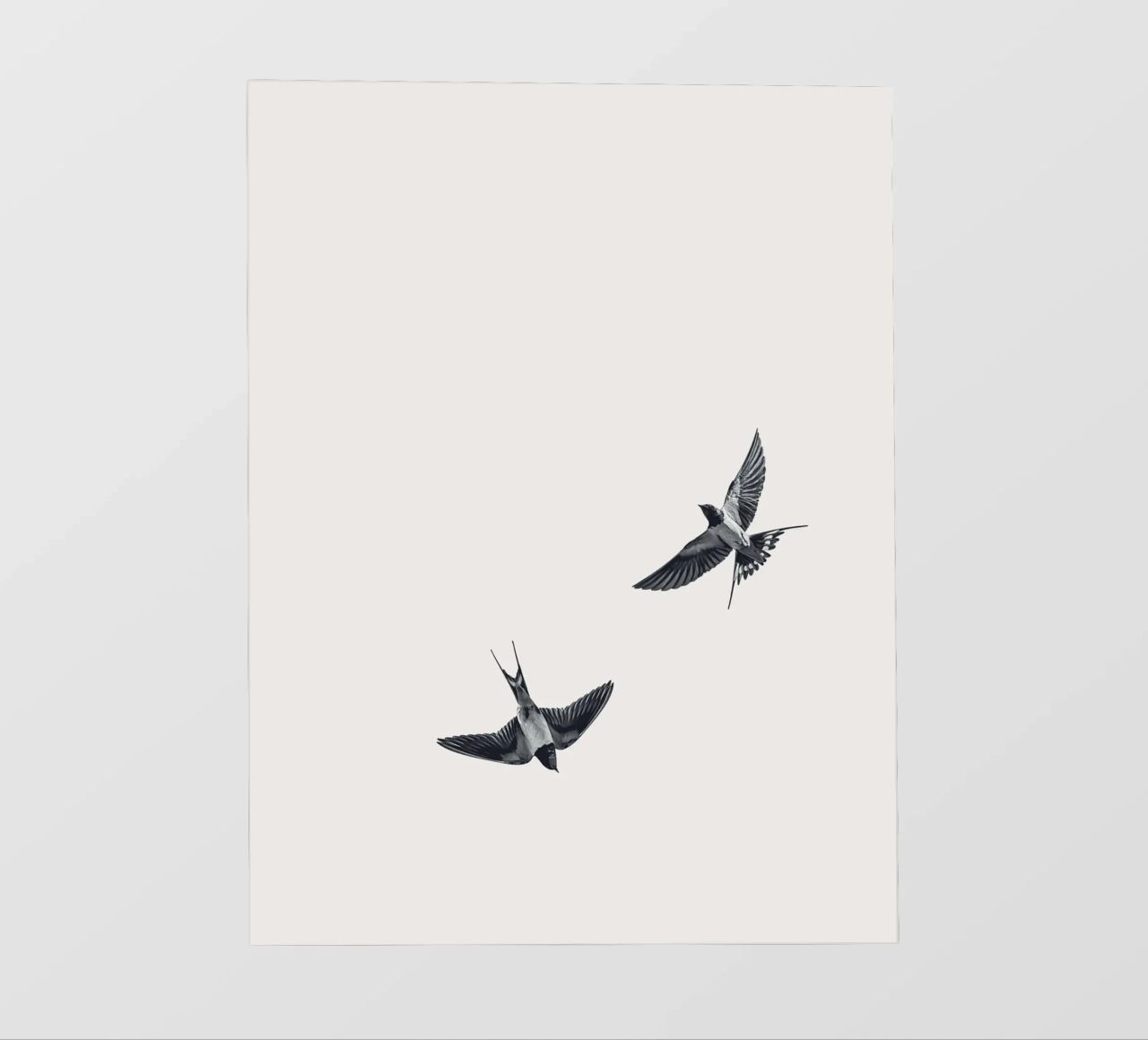 Twee zwaluwen - Minimalistisch natuurlijk ontwerp backlit folie van Whole©