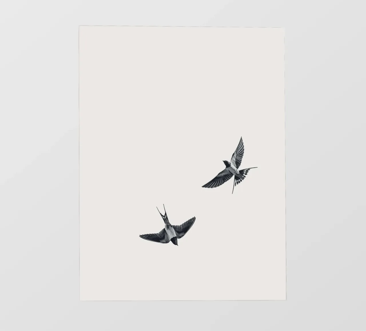Twee zwaluwen - Minimalistisch natuurlijk ontwerp fotobehang van Whole©