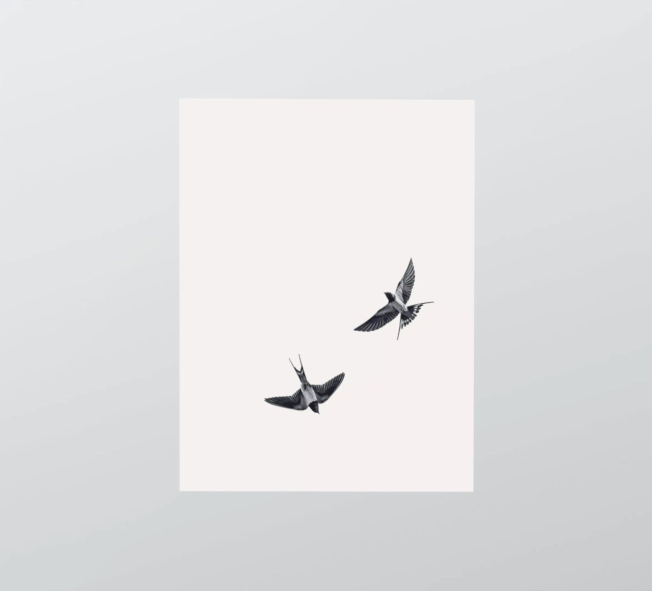 Twee zwaluwen - Minimalistisch natuurlijk ontwerp sticker van Whole©