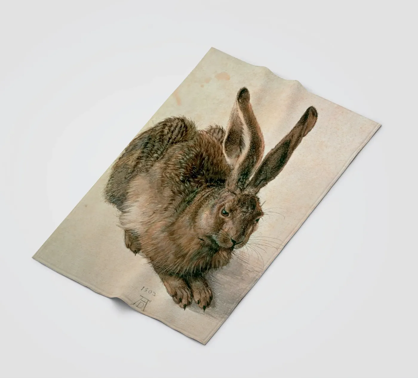 Dürer - Hare fleece blanket by ARTOTHEK