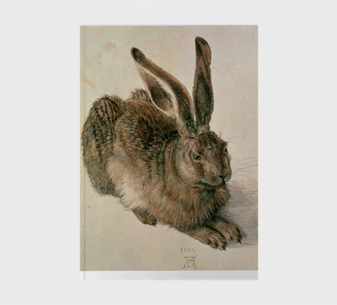 Dürer - Lepre diario da ARTOTHEK