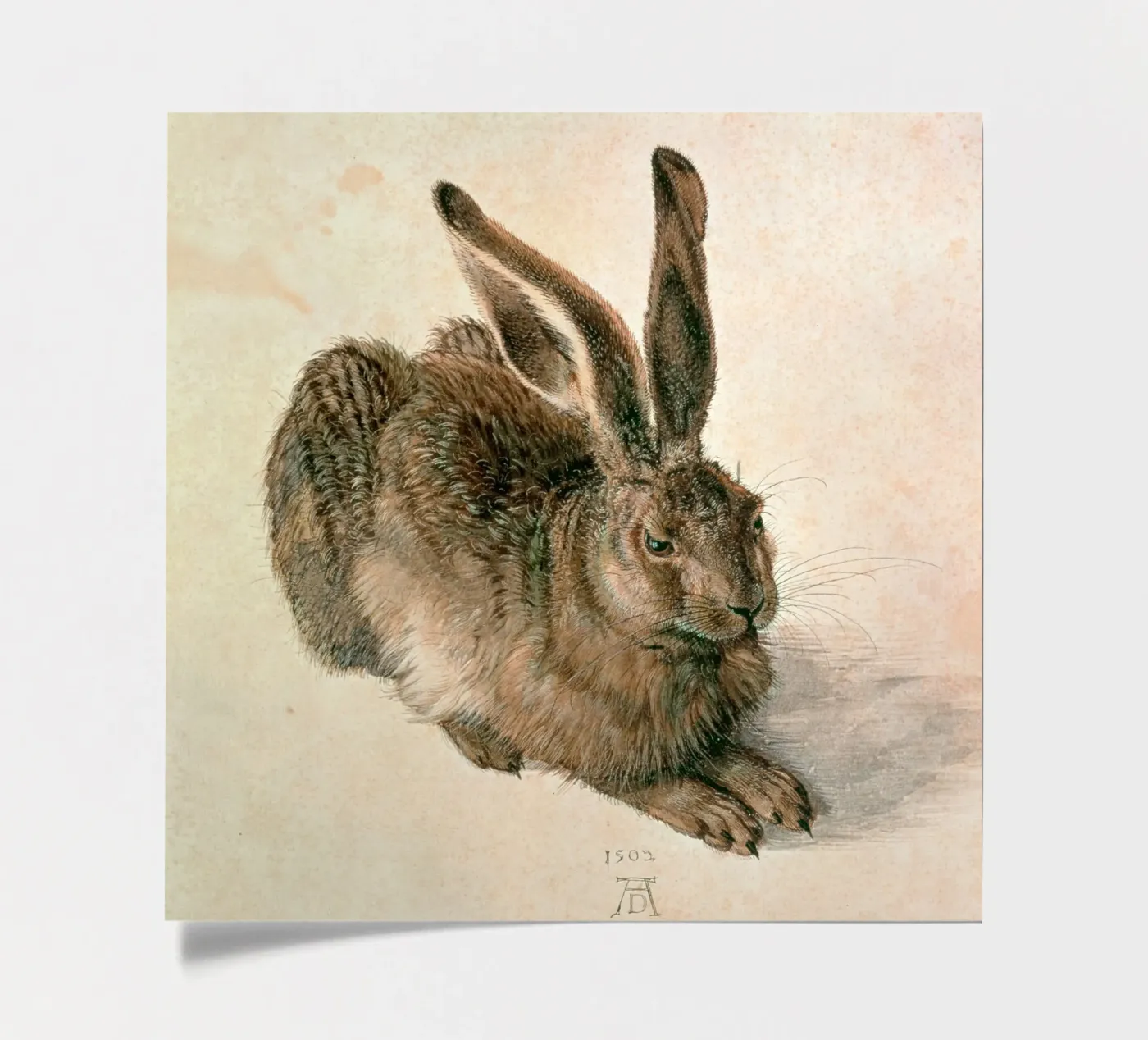 Dürer - Hare sticker sheet by ARTOTHEK