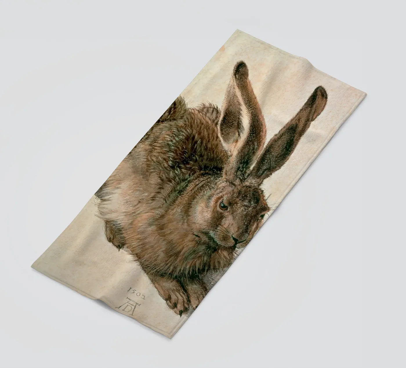 Dürer - Lepre telo mare da ARTOTHEK