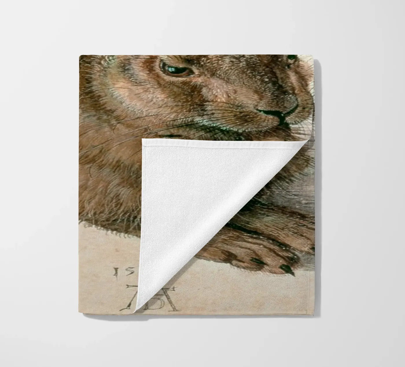 Dürer - Lepre telo mare da ARTOTHEK