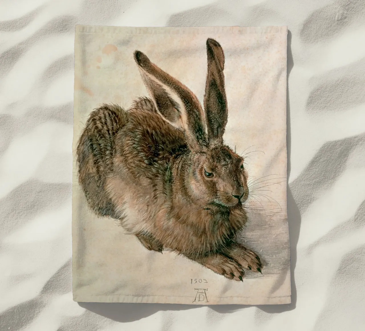 Dürer - Lepre telo mare da ARTOTHEK