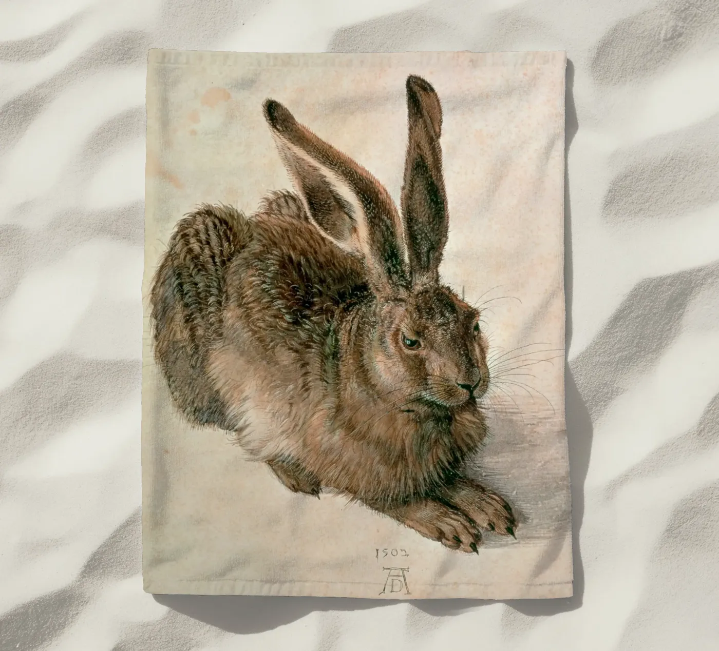 Dürer - Lepre telo mare da ARTOTHEK