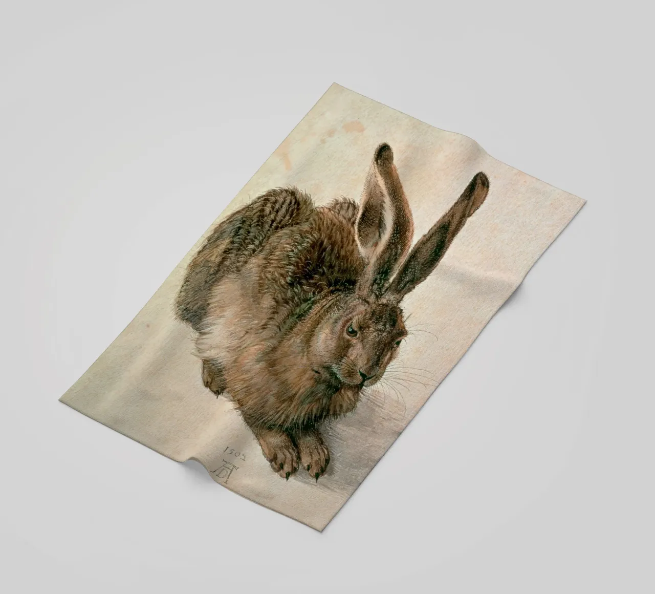 Dürer - Lepre telo mare da ARTOTHEK