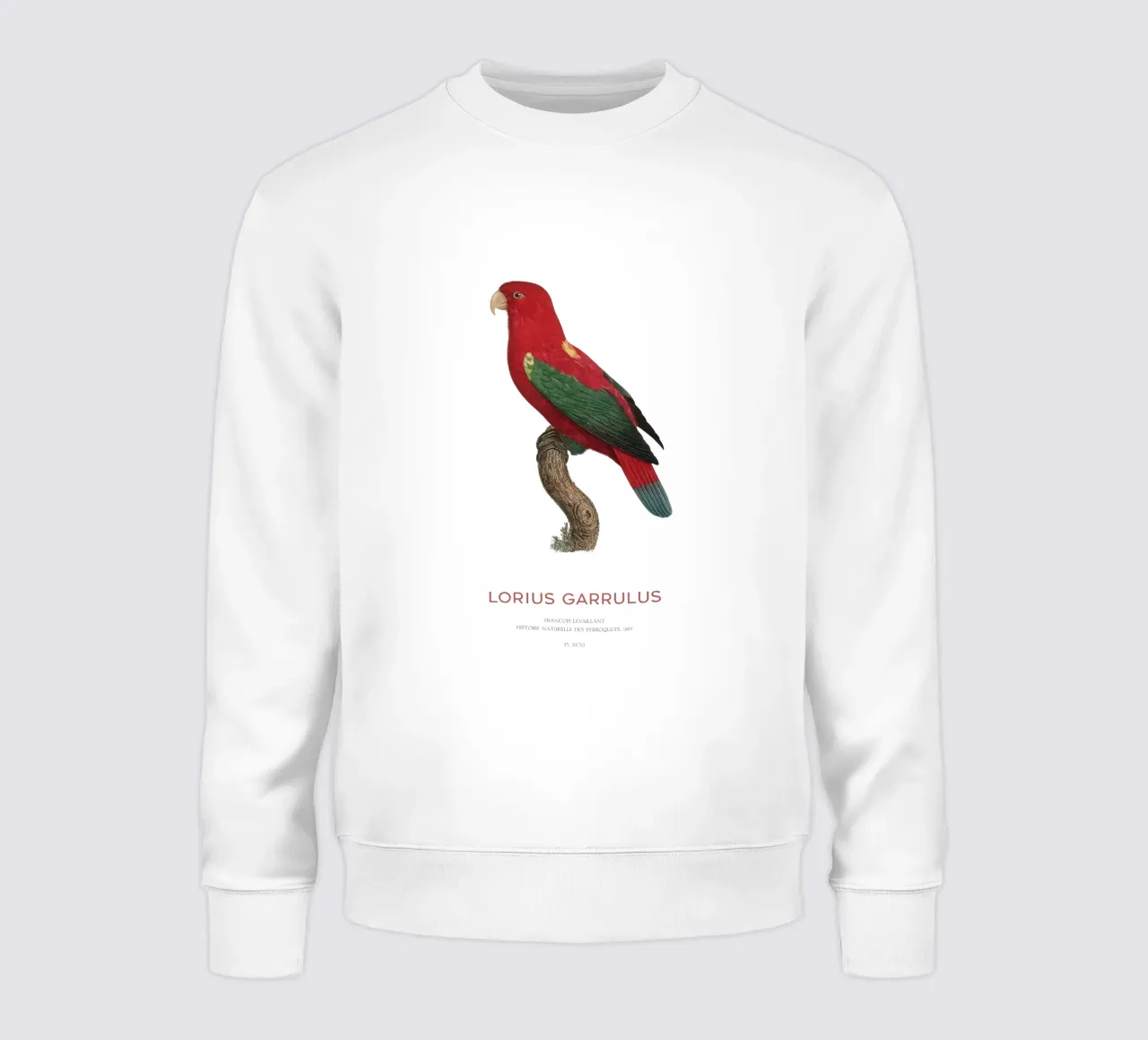 Lorius Garrulus o Lorius Garrulus felpa da Vintagrafica