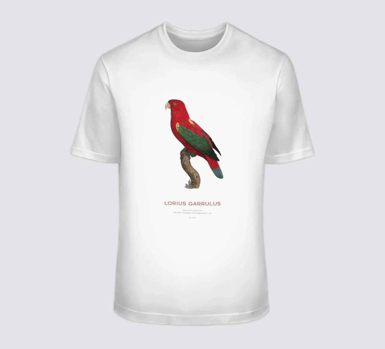 Lorius Garrulus o Lorius Garrulus t-shirt da Vintagrafica