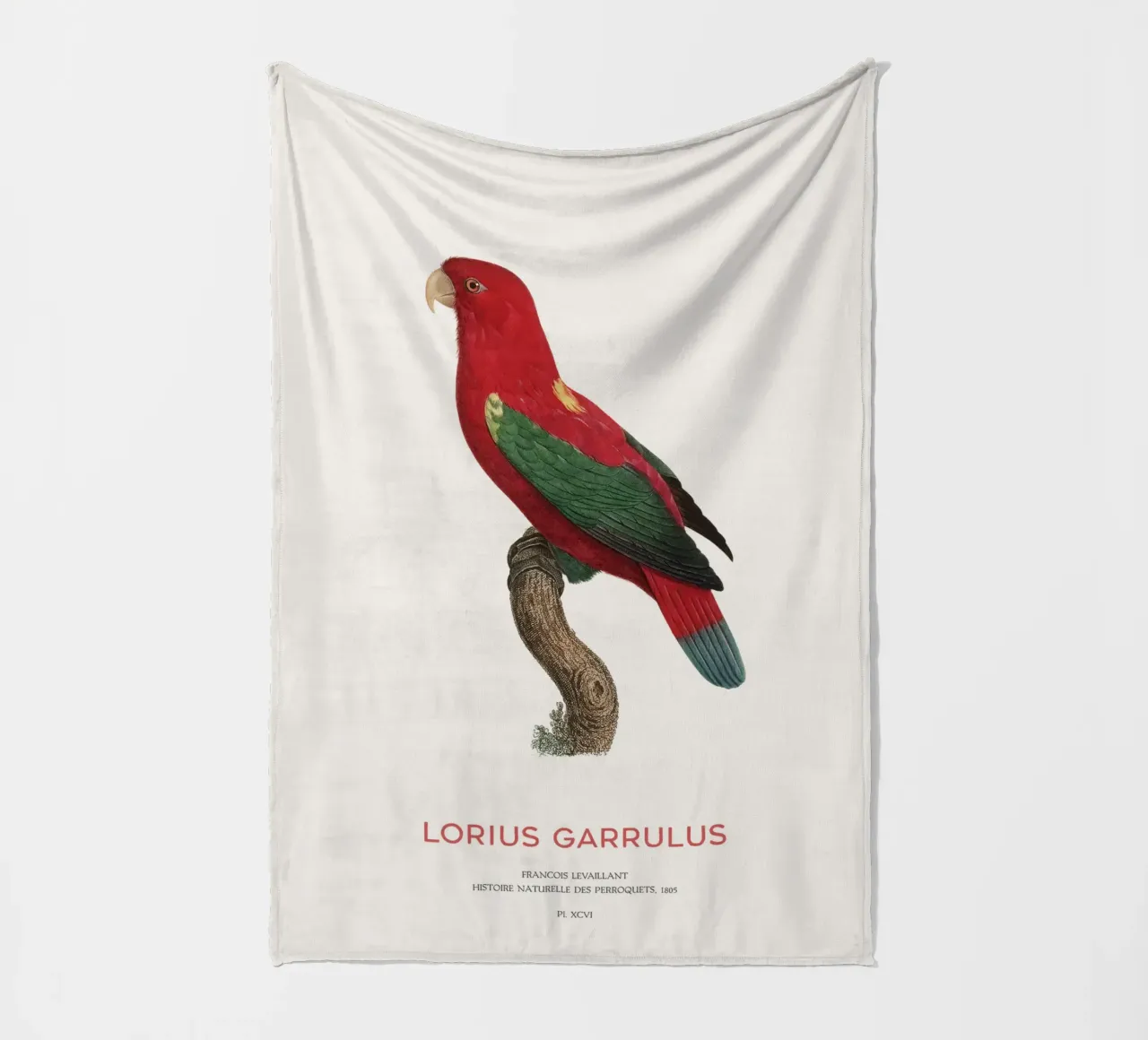 Lorius Garrulus o Lorius Garrulus coperta in pile da Vintagrafica