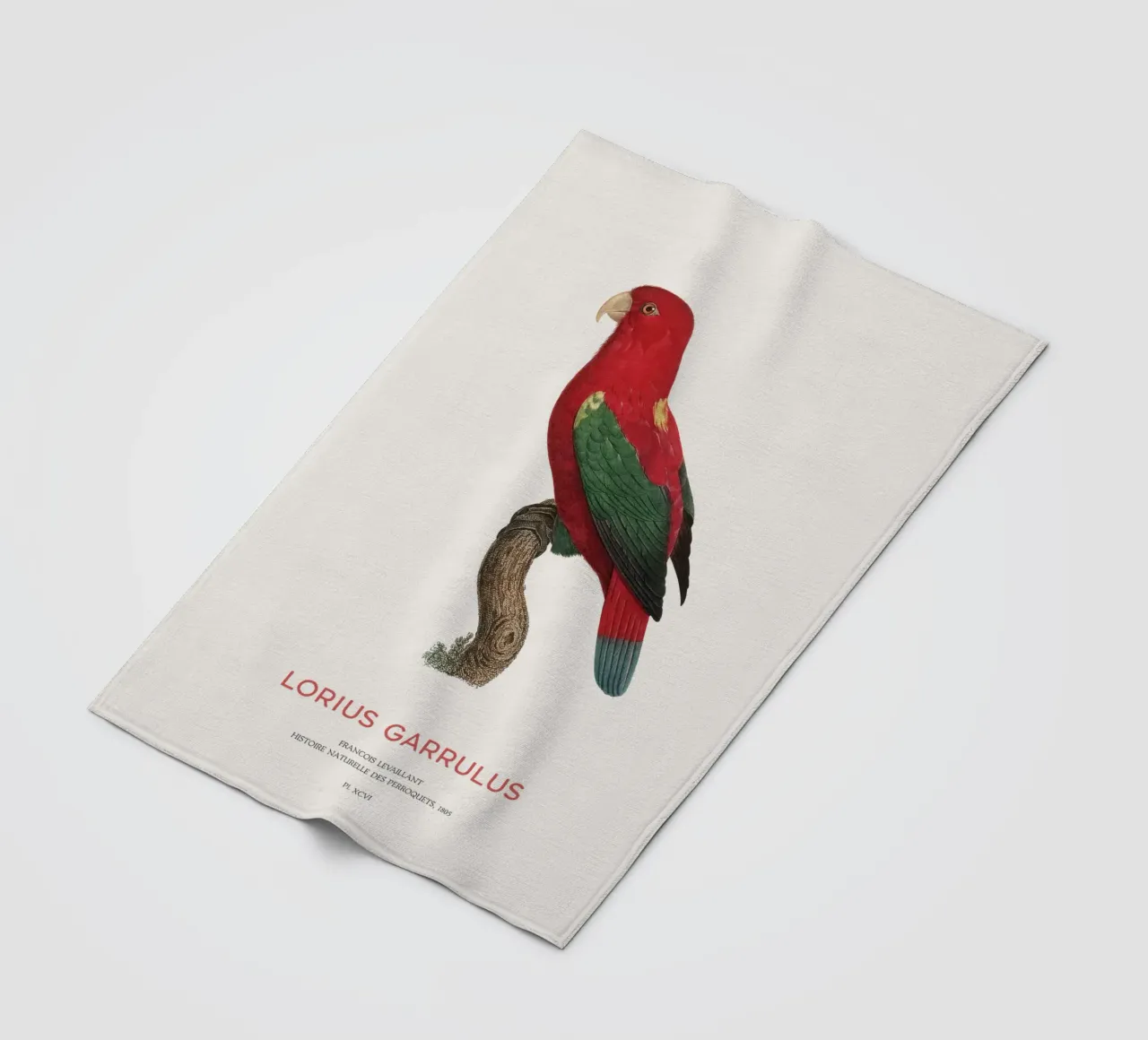 Lorius Garrulus o Lorius Garrulus coperta in pile da Vintagrafica