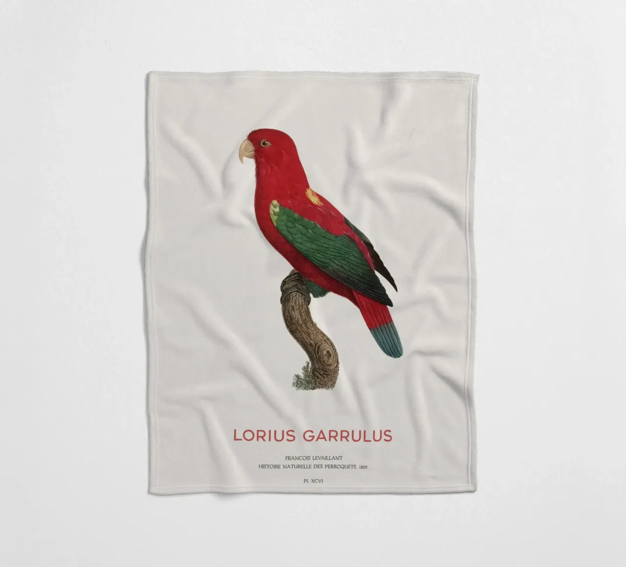 Lorius Garrulus o Lorius Garrulus coperta in pile da Vintagrafica