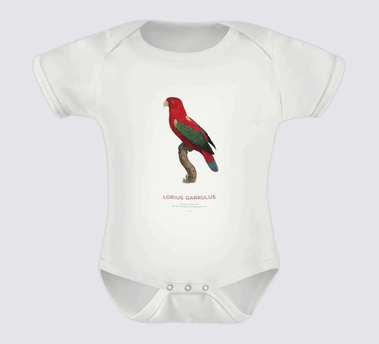 Schwätzerlori oder Lorius Garrulus Kurzarm Babybody von Vintagrafica