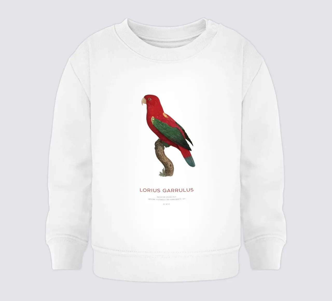 Lorius Garrulus o Lorius Garrulus felpa neonato da Vintagrafica