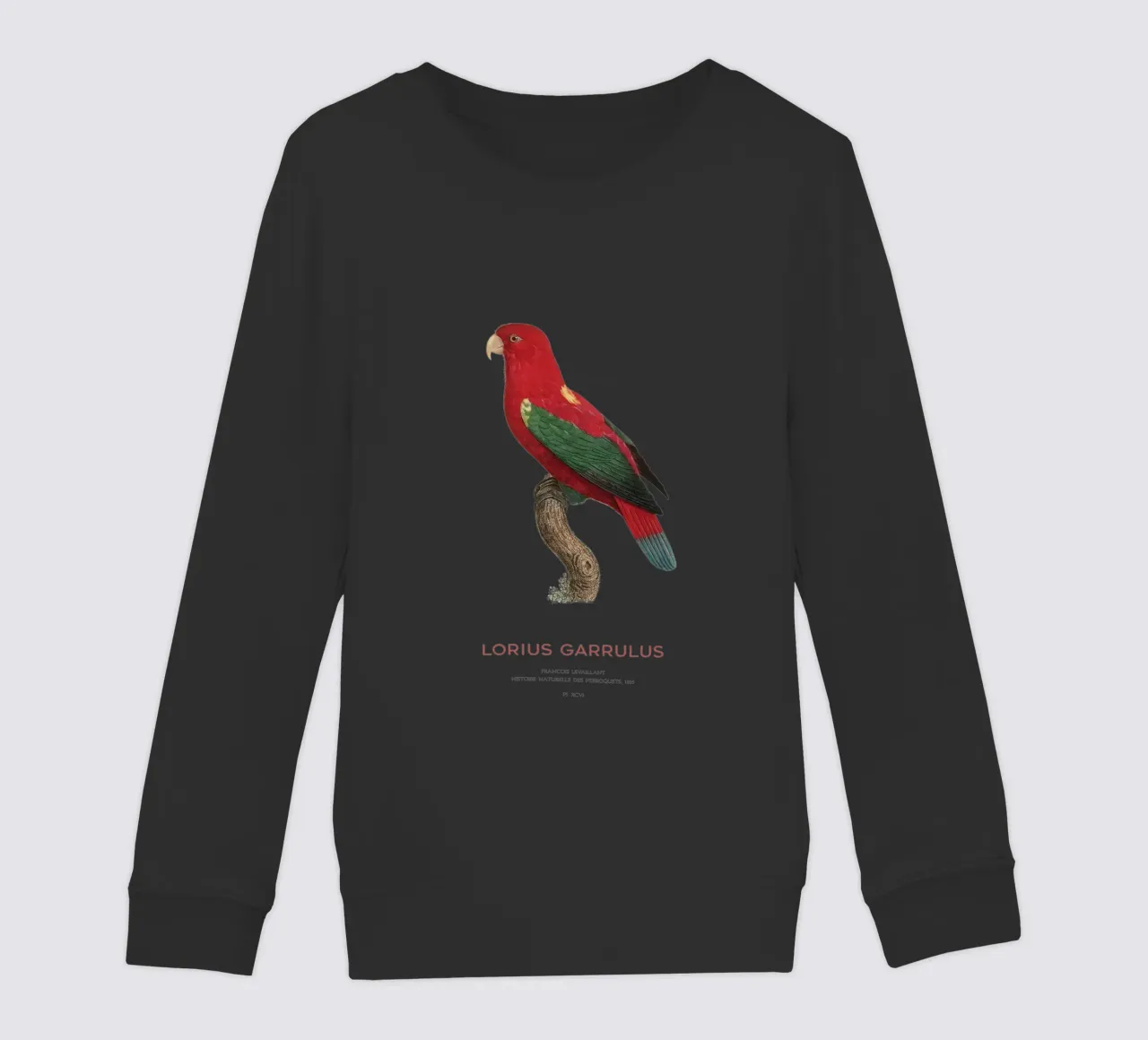 Lorius Garrulus o Lorius Garrulus felpa bambino da Vintagrafica