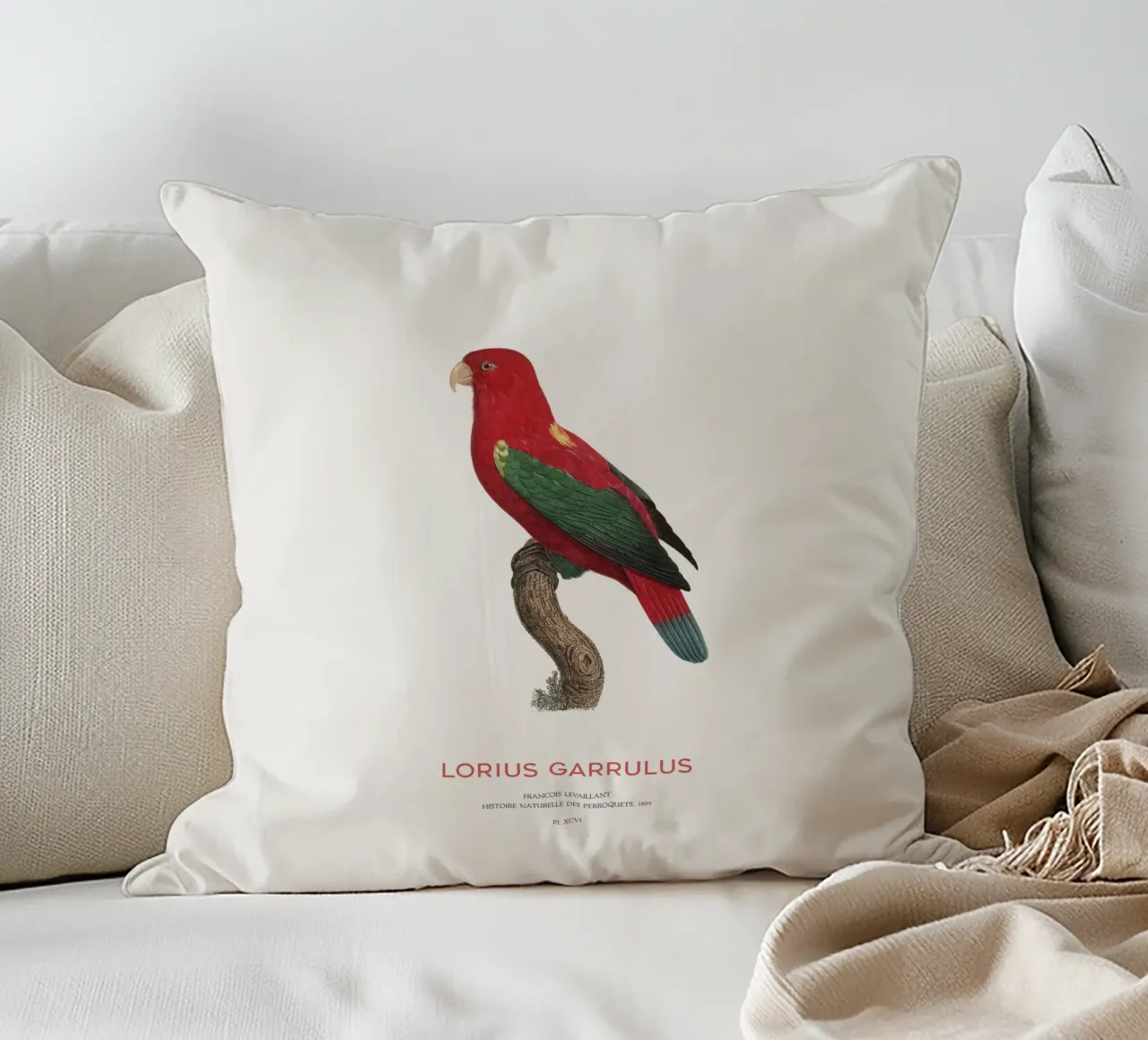 Lorius Garrulus o Lorius Garrulus cuscino da Vintagrafica