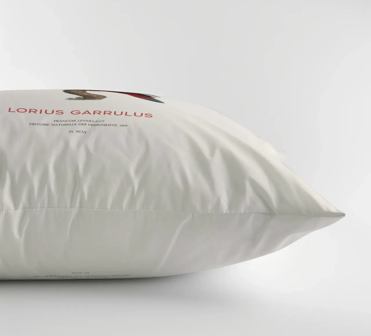 Lorius Garrulus o Lorius Garrulus cuscino da Vintagrafica